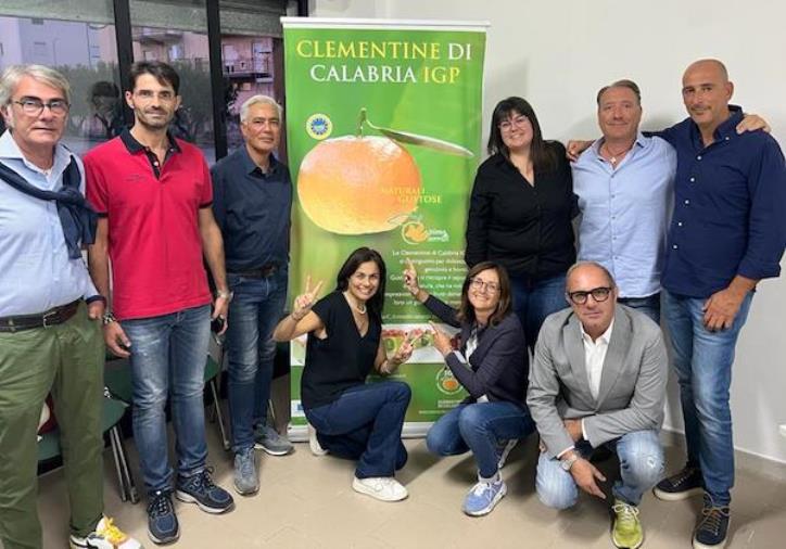 images Consorzio per la tutela delle Igp clementine: confermato all'unanimità Giorgio Salimbeni 