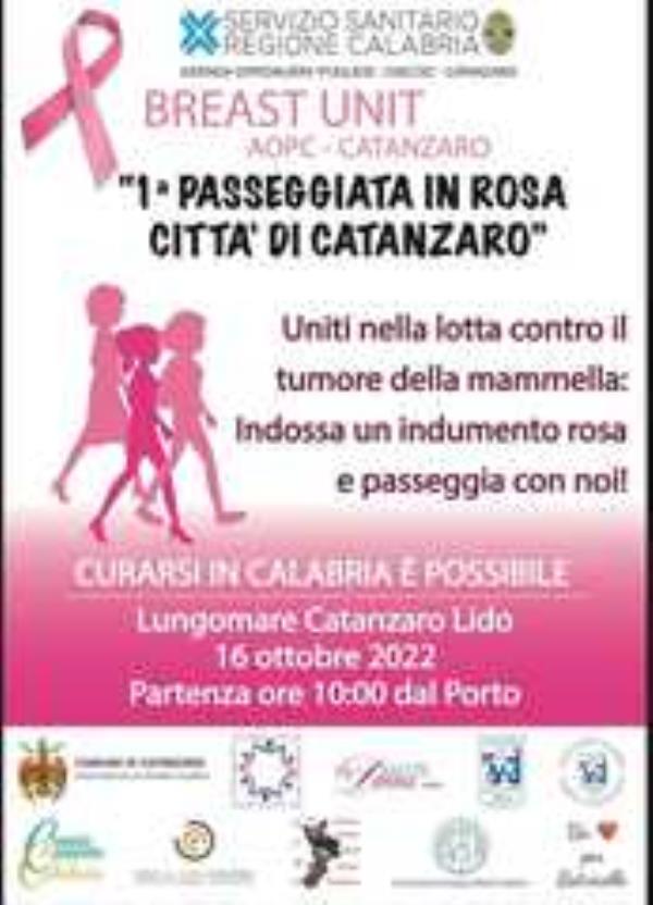 images Tumore al seno, anche l'Ammi presente domenica alla 1° Passeggiata in Rosa città di Catanzaro