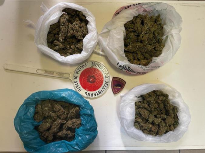 images Crotone, perquisizioni a tappeto e sequestro di circa mezzo chilo di marjuana