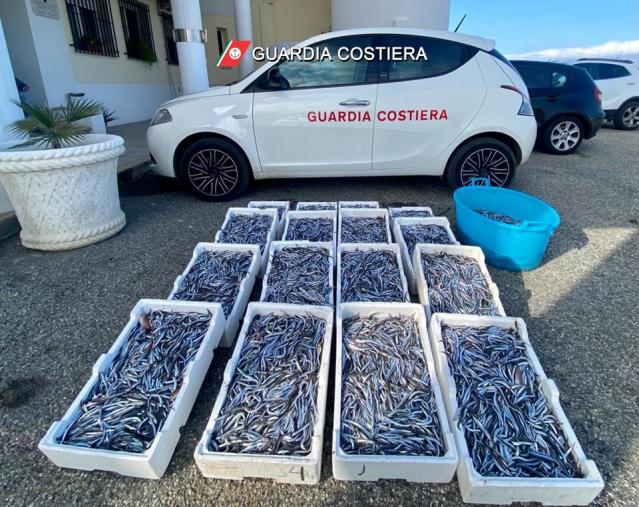 images Corigliano Calabro, sequestrati 100 kg di prodotto ittico