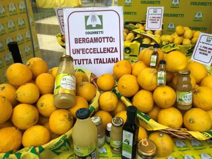 images Coldiretti, boom del bergamotto: la Calabria controlla il 90% della produzione mondiale