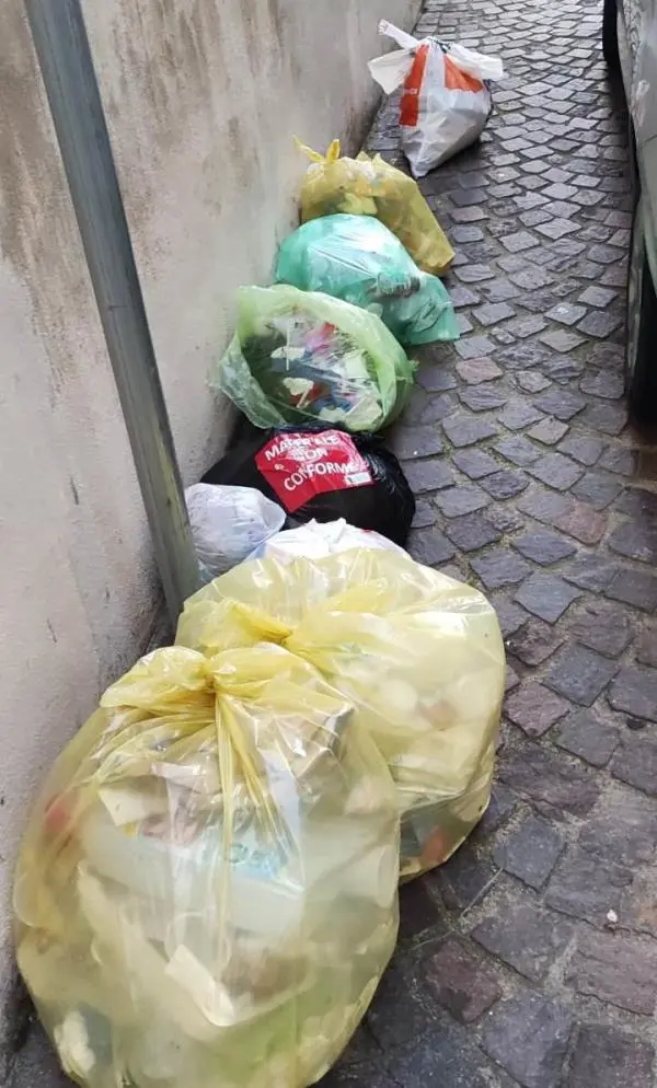 Catanzaro, beccati in flagranza i "furbetti della spazzatura" di via Montecorvino: multati per 600 euro