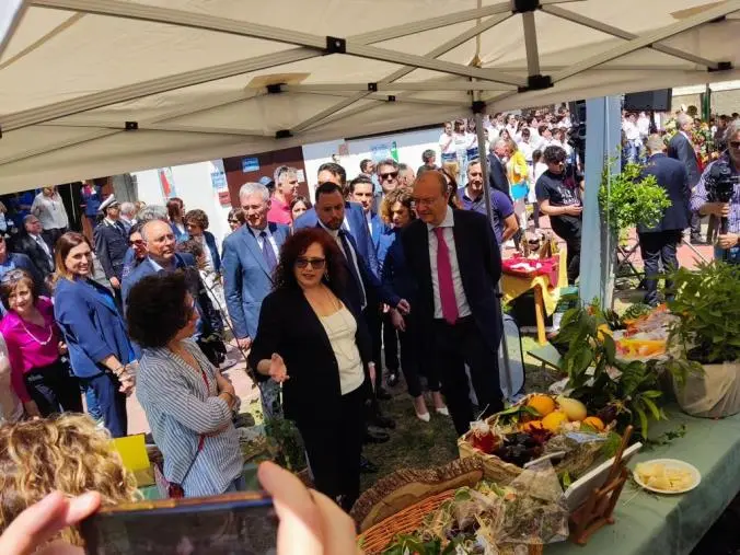 images Scuola, gli istituti agrari calabresi: “Il ministro Valditara mantiene le promesse”