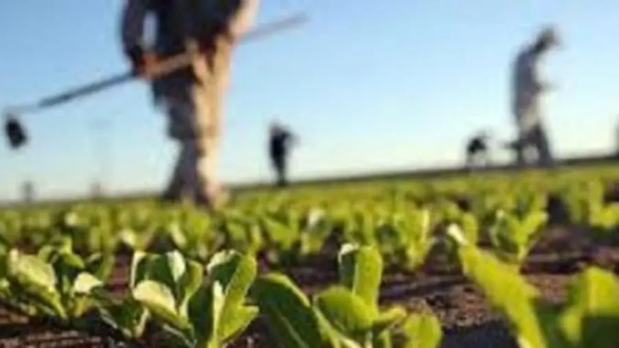 images Agrifidi e Banca Etica firmano un patto per sostenere le imprese agricole del territorio 