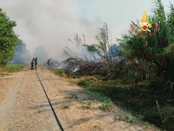 images Catanzaro, brucia contrada Cucullera: soccorsi da terra e dal cielo