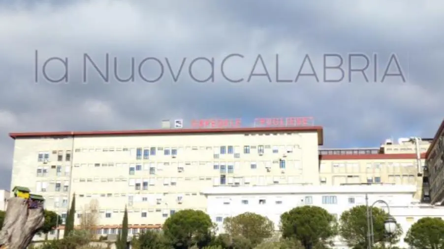 images Sbloccato il pagamento della produttività 2020 ai lavoratori dell'ex Azienda 'Pugliese Ciaccio'