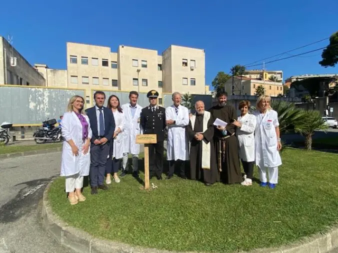 images ‘Un albero per la salute’: i Carabinieri del Raggruppamento Biodiversità donano un abete all’ospedale Pugliese
