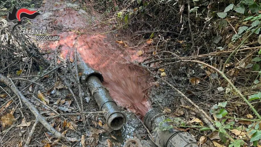 images Controlli in materia ambientale, 11 denunce nella Piana di Gioia Tauro