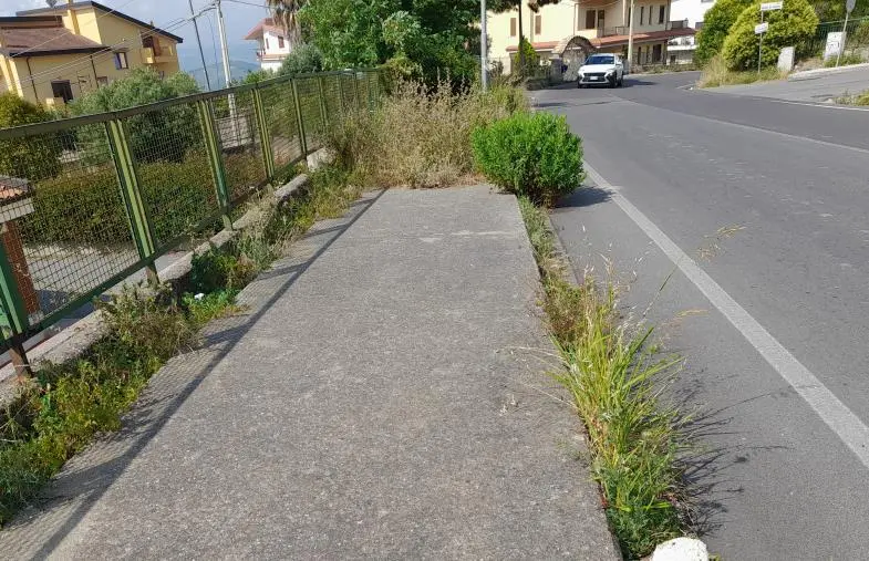 Catanzaro, degrado a Viale Barlaam da Seminara nel quartiere Cavita: erba a bordo strada