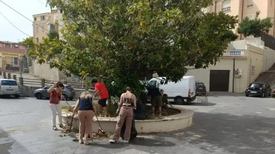 images Catanzaro, i ragazzi del Centro di solidarietà Ets ripuliscono l’aiuola nel piazzale di via Fontana Vecchia