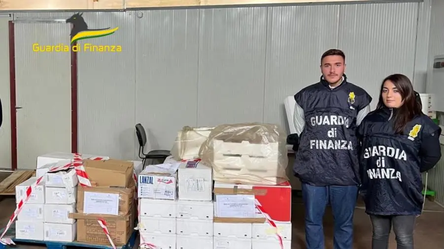 Crotone, sequestrati  400 kg di prodotti ittici privi di tracciabilità: sanzioni per oltre 8000 euro 