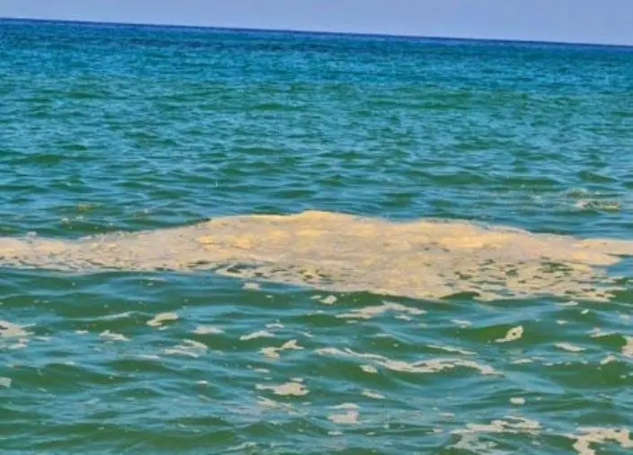 Mare inquinato, Base Popolare aderisce alla lotta per la tutela del Golfo di Sant'Eufemia