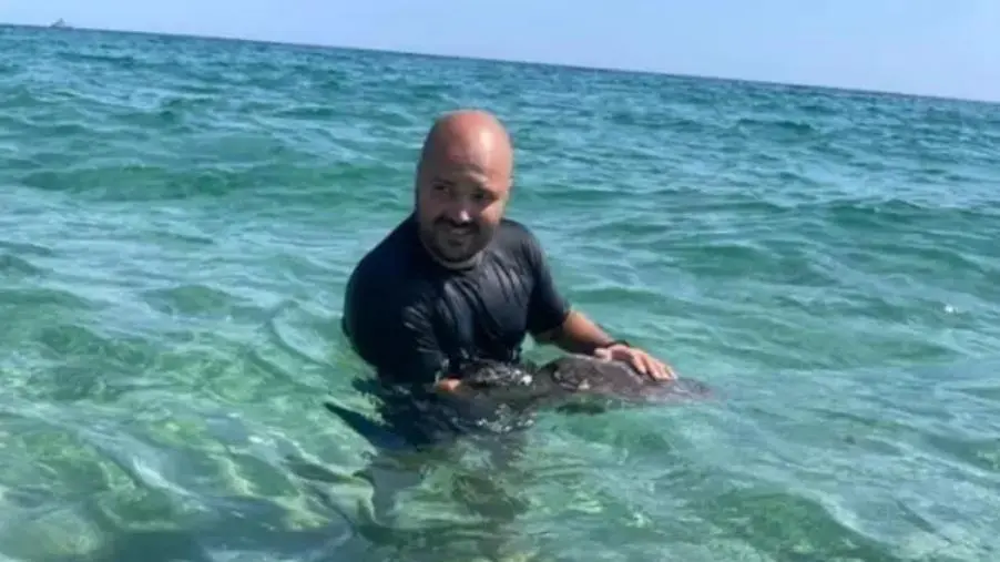 Crotone, salvata tartaruga marina in difficoltà