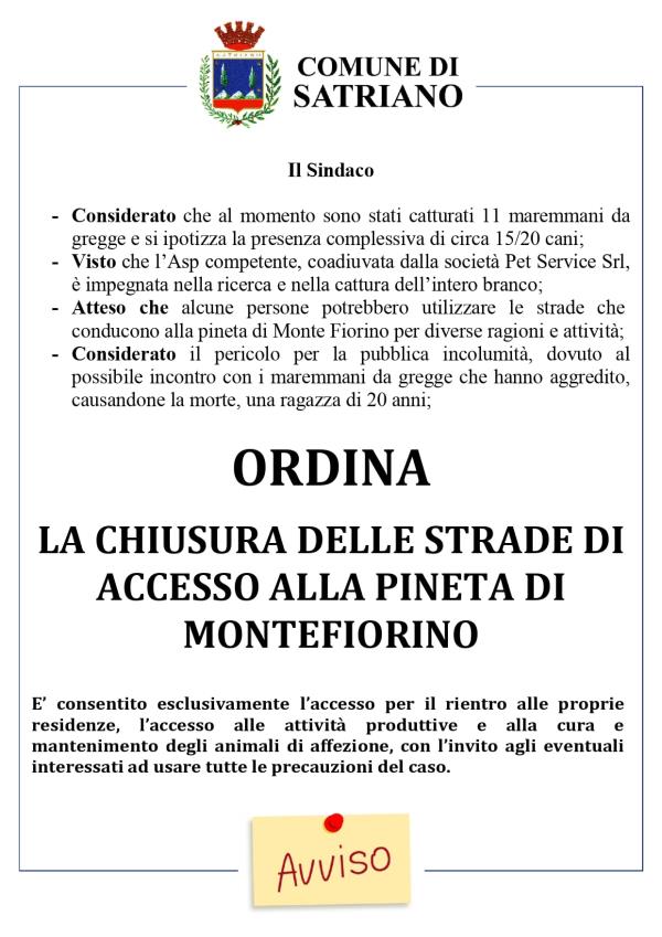 images Tragedia di Satriano. Il Comune chiude le strade che portano alla "Pineta Montefiorino"