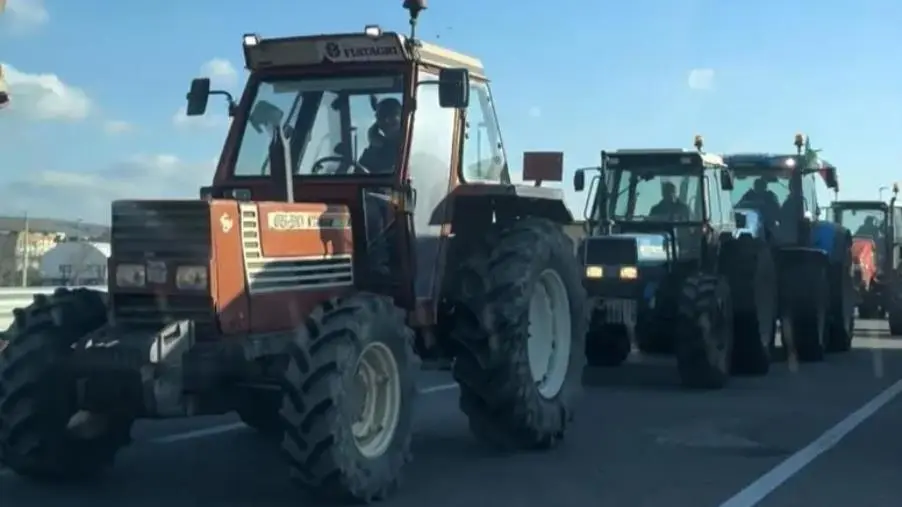 images Protesta agricoltori, trattori in marcia a Cosenza: delegazione dal sindaco