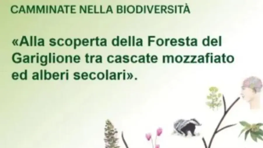 La Delegazione FAI di Catanzaro celebra il 19 maggio la Giornata della Biodiversità 