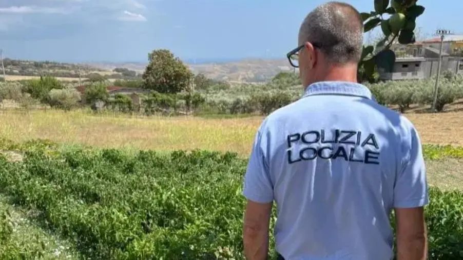 Giro di vite della Polizia locale contro sprechi e furti d'acqua a Catanzaro