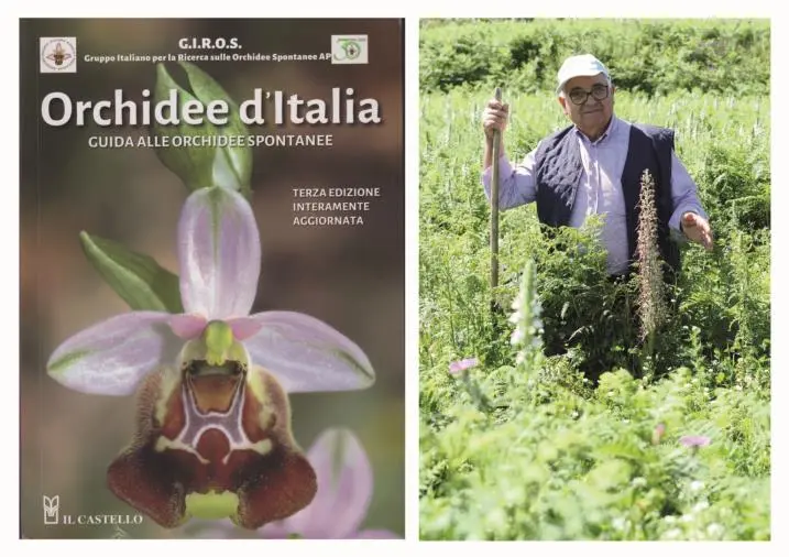 Lettera a Tito, nella Calabria ricca di orchidee spontanee Nazareno Circosta scopre una rara specie a Gasperina