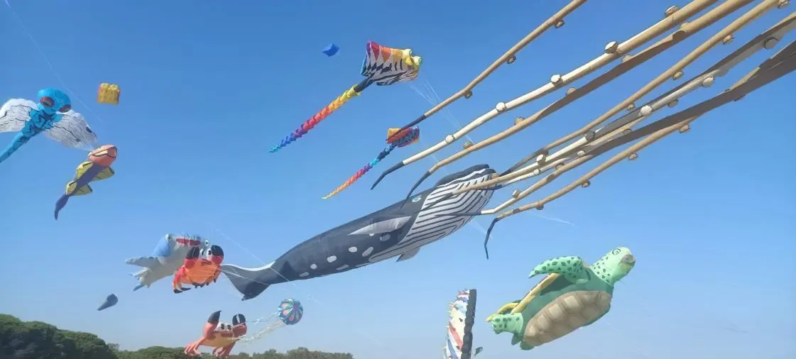 Catanzaro, la terza edizione del Festival degli aquiloni incanta Giovino: tripudio di colori nei cieli