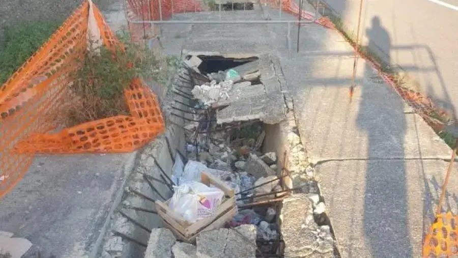 Viale Crotone, Alleanza per Catanzaro: “Ingresso Sud della città ridotto a una discarica”
