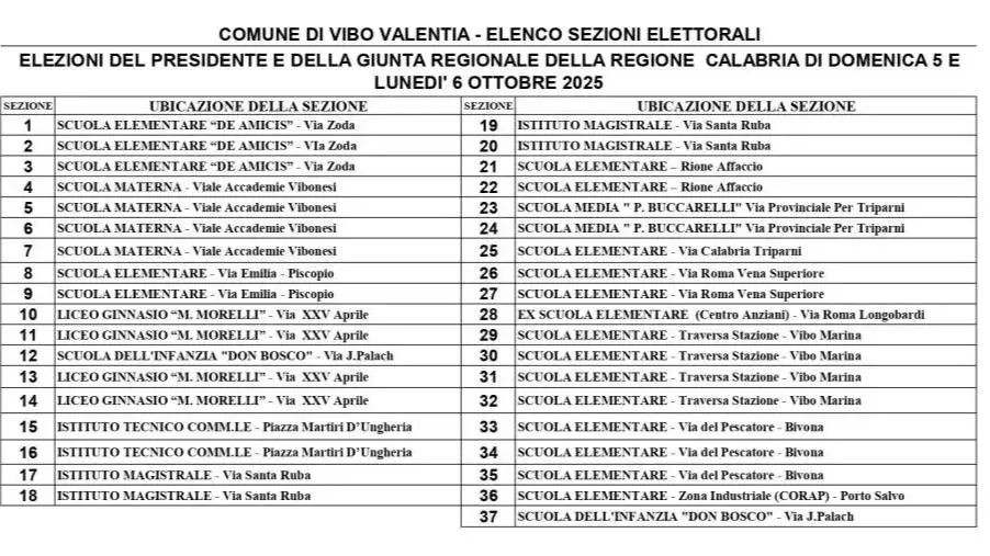 Verso le Regionali, a Vibo dislocazione delle sezioni elettorali: uffici aperti per richiedere tessere e duplicati