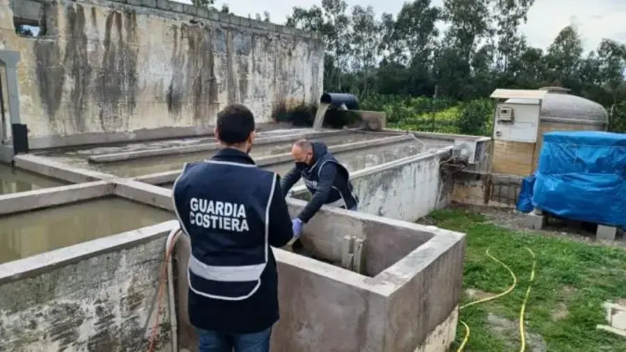 Sequestrate 28 tra attività commerciali e depuratori: il bilancio della Guardia costiera calabrese