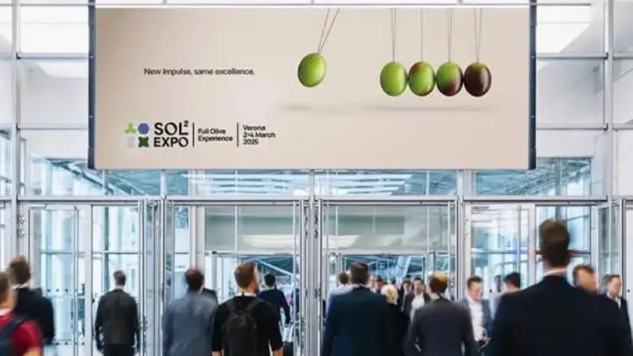 Verona, al via il Salone Internazionale sugli oli di oliva: il programma del Consorzio Olio di Calabria IGP 