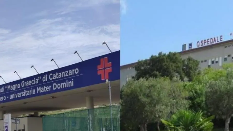 L’AOU Dulbecco avvia il piano attuativo dell’Atto Aziendale: parte la fase operativa della riorganizzazione