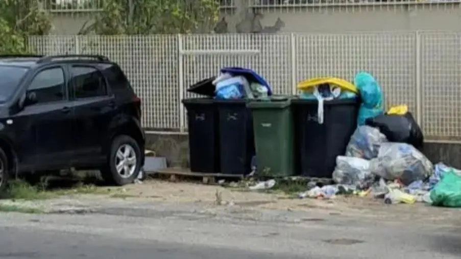 images Alleanza per Catanzaro: "Tolleranza zero per chi abbandona rifiuti, bene la svolta di Fiorita"  