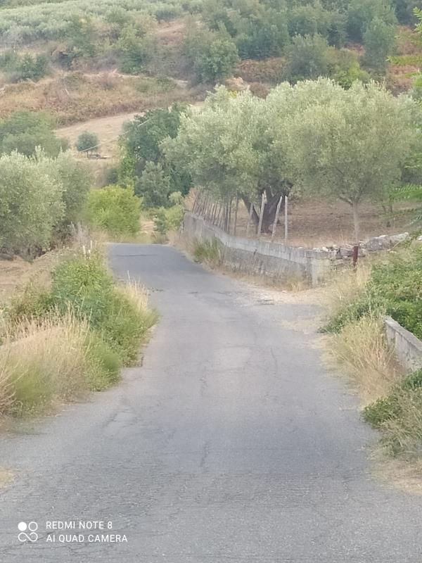 images Strade dissestate e erbacce a Petronà. Un gruppo di cittadini: “Pronti a consegnare le tessere elettorali in forma di protesta” 