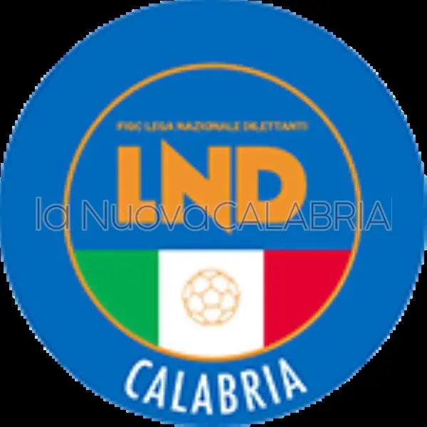 Calcio Calabria, risultati e marcatori degli anticipi di sabato 16 novembre