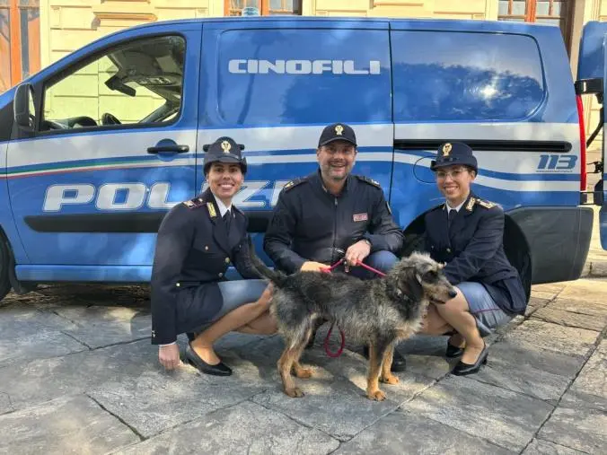 images La Polizia di Reggio adotta dal canile una meticcia: da oggi Lisa entra a far parte dei Cinofili