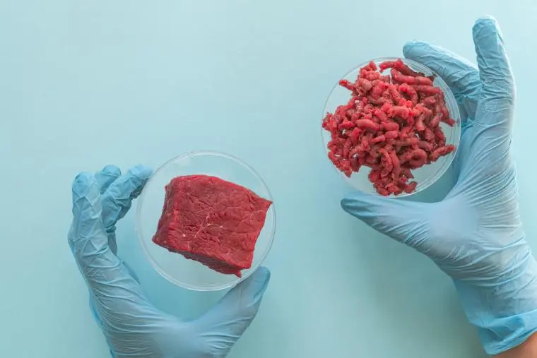 images Carne coltivata, Coldiretti chiede una consultazione pubblica per lo stop all'introduzione