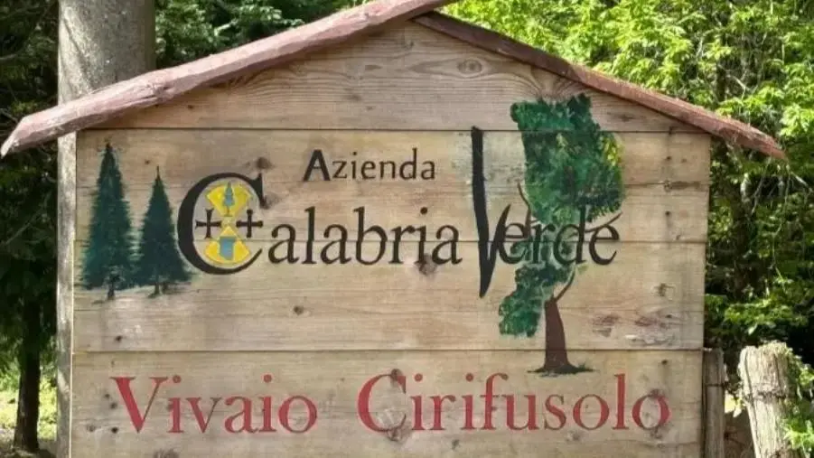images Circolo Pd di Fagnano Castello: "Il Vivaio Cirifusolo va potenziato"