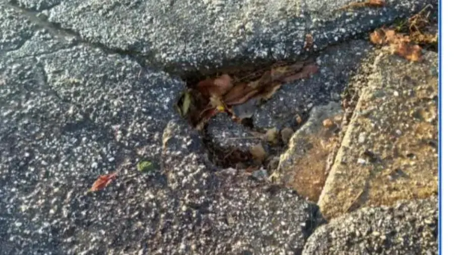 Zangarona, strade in emergenza: Lidia Vescio (PD) sollecita soluzioni tempestive 

