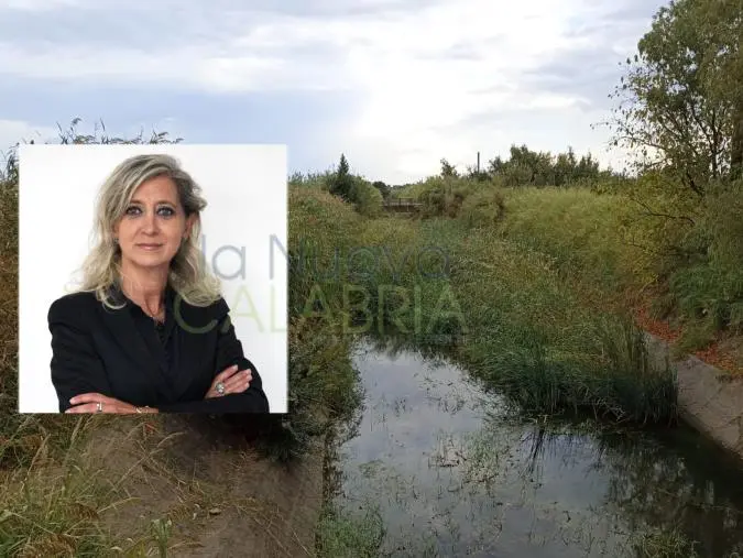 images Alluvione Simeri Crichi, il fosso Fegato avvolto nella vegetazione nonostante convenzioni e promesse 