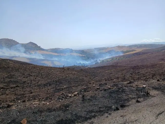 Castrovillari, stalla in fiamme: giovane ustionato per salvare gli animali