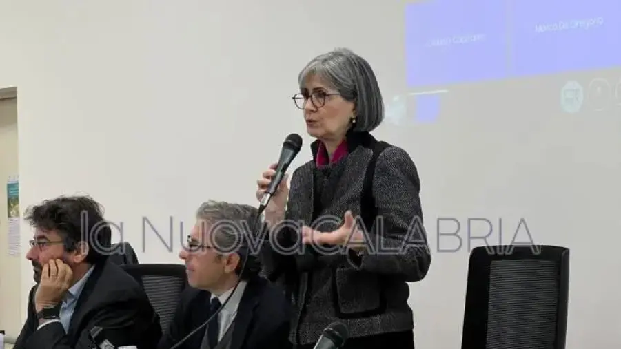 Vertenza Abramo Customer Care, Caracciolo:
“Giunta Calabria mantiene impegni con i calabresi”