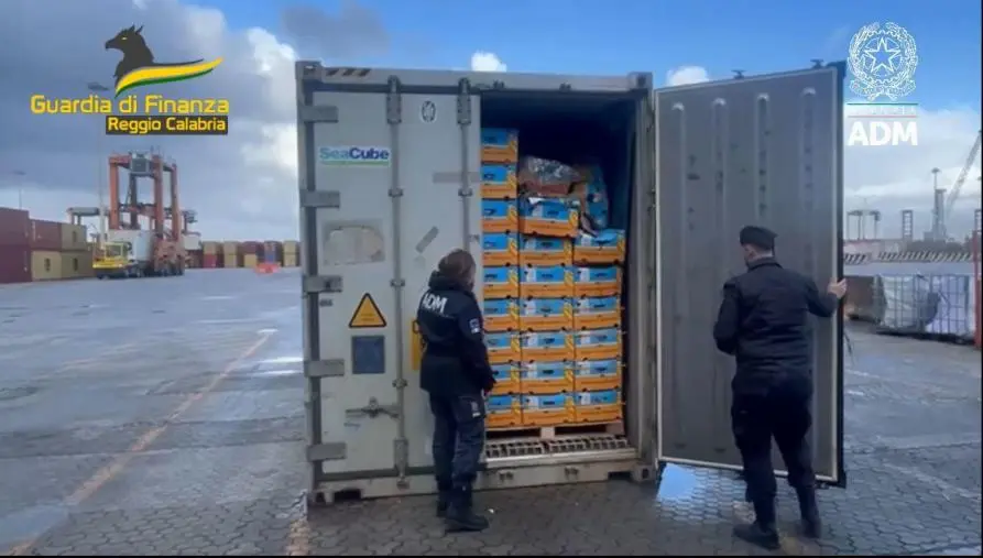 Sequestrato al Porto di Gioia Tauro un carico di 27 chilogrammi di cocaina purissima 