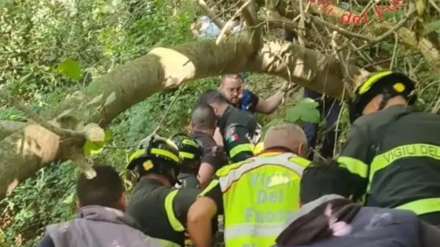 Ritrovato vivo il 92enne disperso a Gizzeria: è sopravvissuto alla notte nei boschi