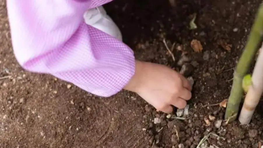 A Filogaso la piantumazione di 20 alberi con Fondazione Augurusa