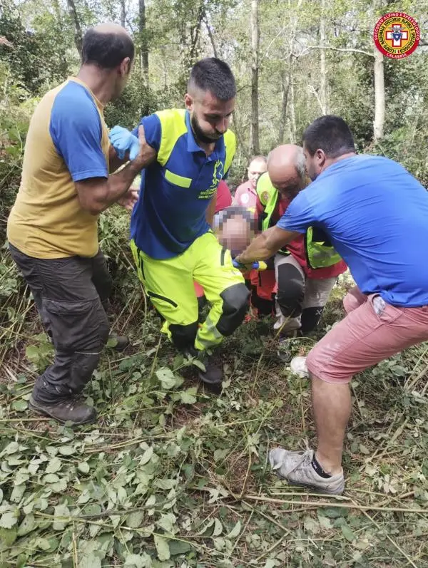 images Si ribalta con trattore: ferito un 58enne nel Cosentino 