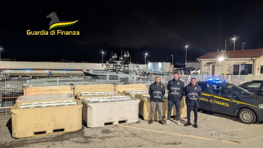 Vibo Valentia, maxi sequestro di 1,5 tonnellate di novellame di sarda 
