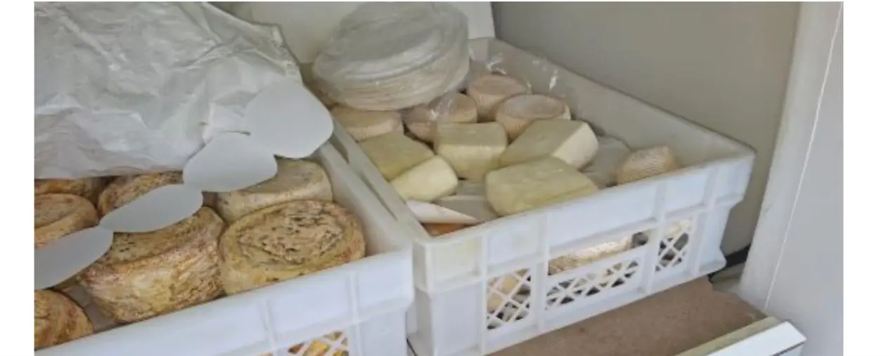 images Catanzaro, sequestrati 55 Kg circa di prodotti caseari privi di etichettatura 