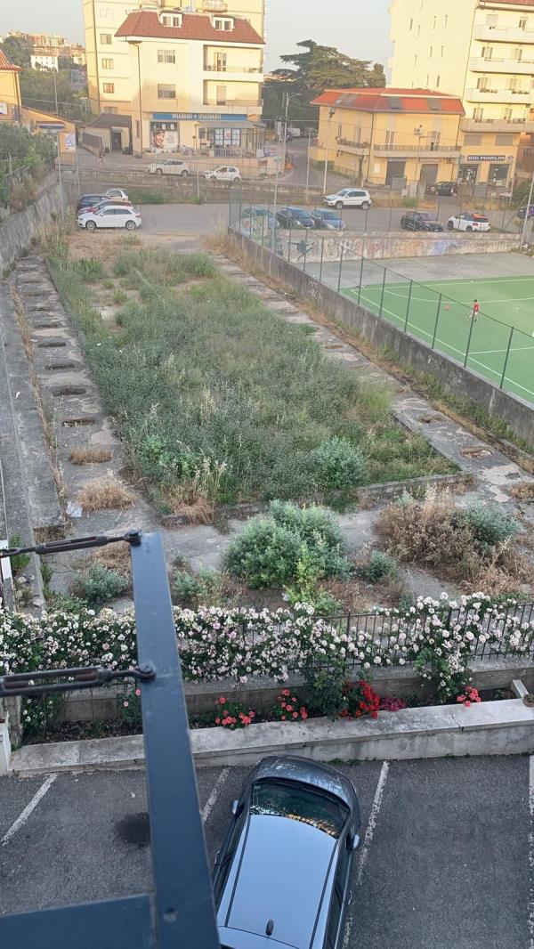 images Via Campanella, dove il campetto di calcio confina con sporcizia ed erbacce  
