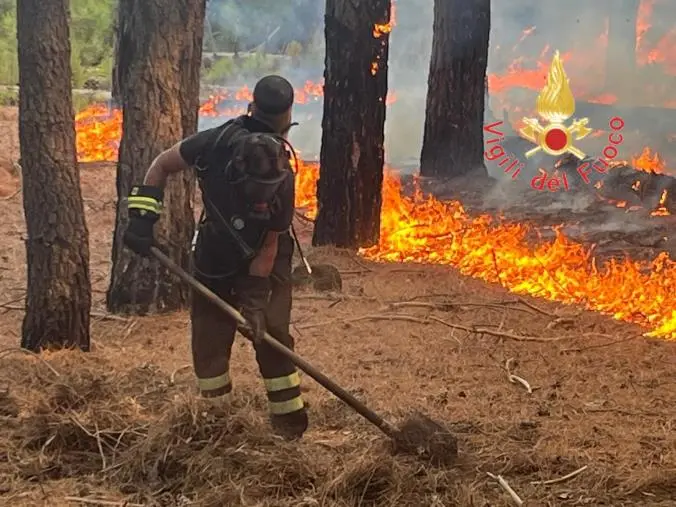 Vigili del fuoco alle prese con un vasto incendio a Bagaladi 