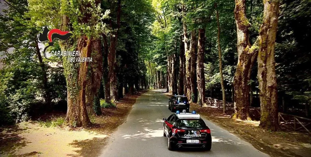 Illeciti urbanistici a Serra San Bruno: denunciate tre persone e sequestrati due manufatti 