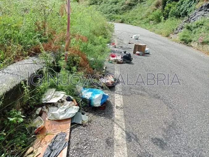 images Maltempo a Catanzaro, la pioggia trasporta detriti e rifiuti sulla strada