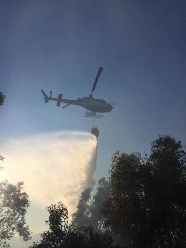 images Venti incendi sul territorio: sedici squadre di Calabria verde impiegate