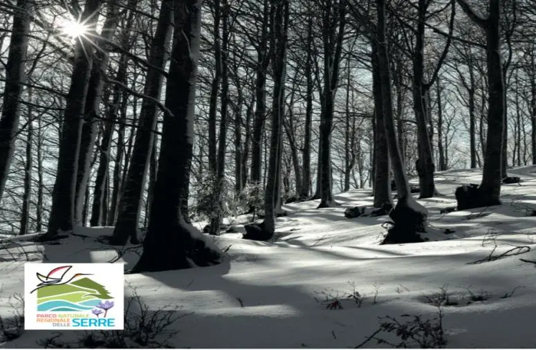 images Parco Naturale delle Serre di Calabria, Campisi: “Presidio di sviluppo locale”